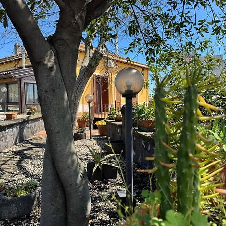 Zest House Bed & Breakfast Santa Venerina Exterior foto
