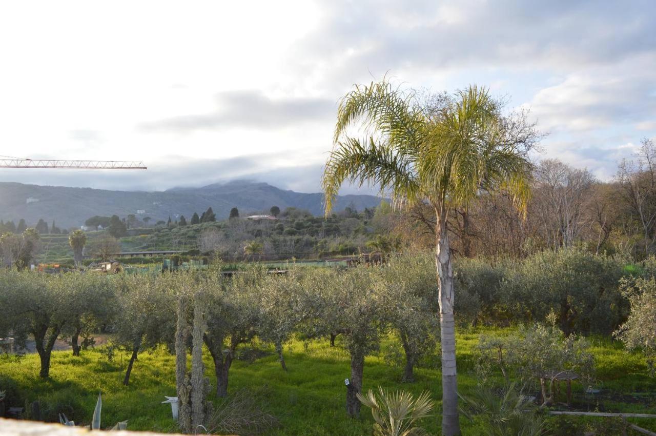 Zest House Bed & Breakfast Santa Venerina Exterior foto