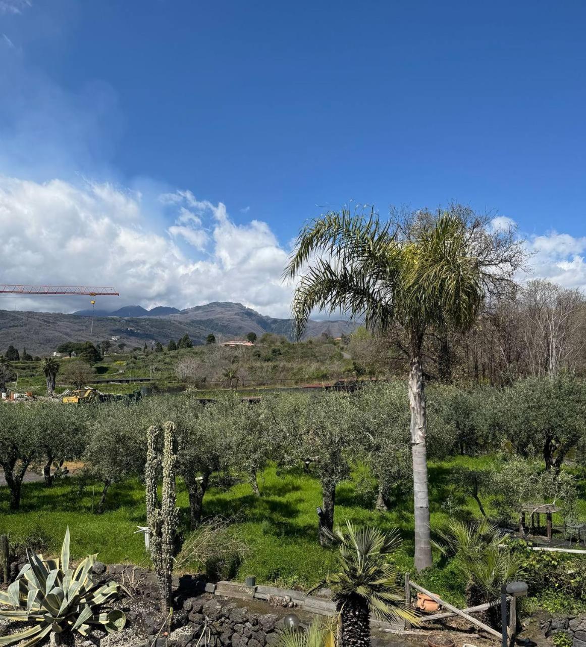 Zest House Bed & Breakfast Santa Venerina Exterior foto
